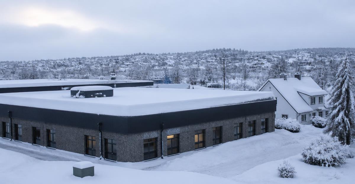 Kallt tak eller varmt tak: Vilket är bäst vid snölast?