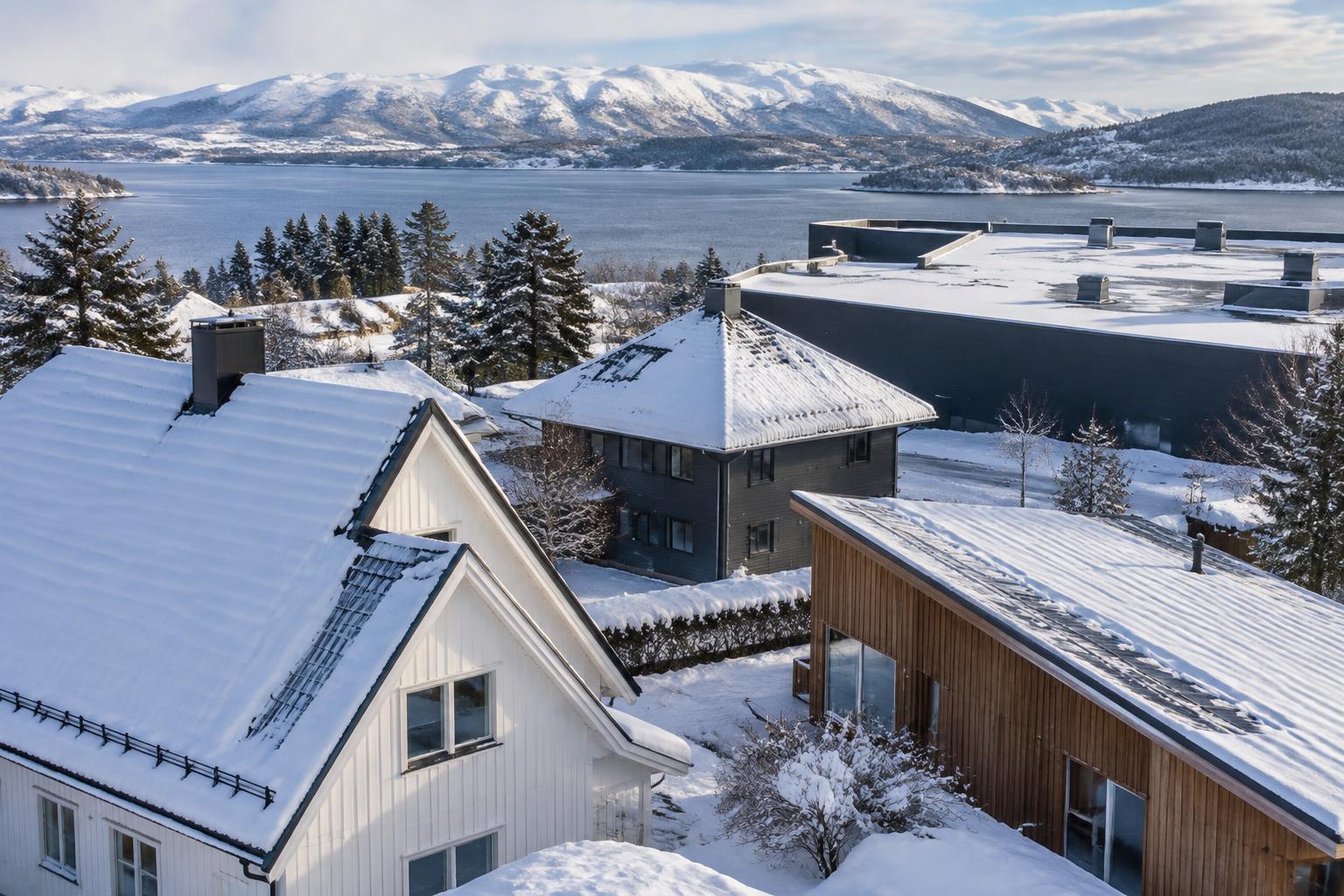Nordic buildings with steep gable, hip, shed and low-slope roofs carrying different patterns of winter snow